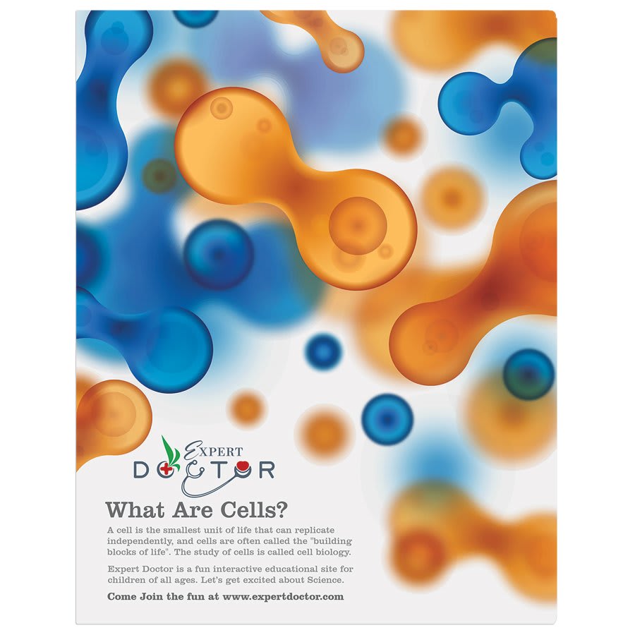 Matte White 11" x 14" ChromaLuxe Aluminum Photo Panel