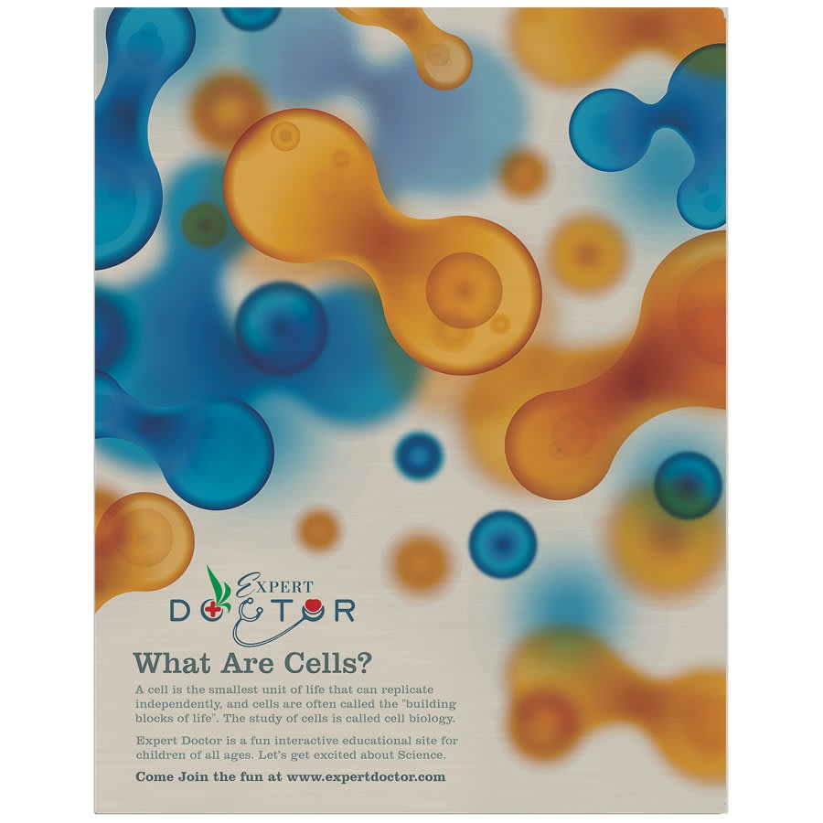 Silver 11" x 14" Semi-Gloss ChromaLuxe Aluminum Photo Panel