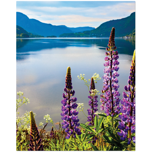 8" x 10" White ChromaLuxe Textured Aluminum Photo Panel