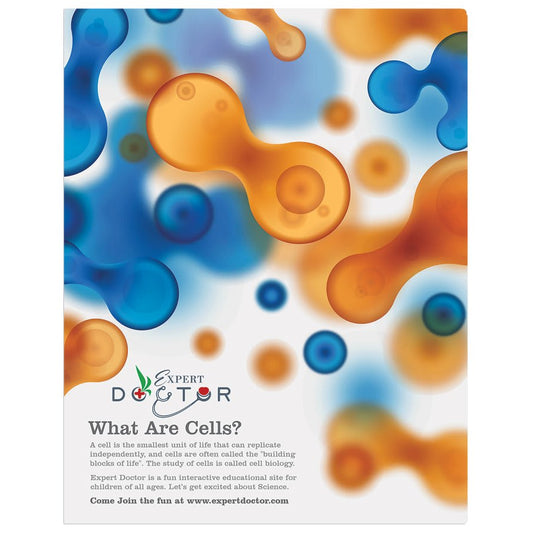 Gloss White 11" x 14" ChromaLuxe Aluminum Photo Panel