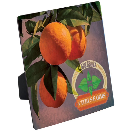 6" x 6" ChromaLuxe Flat Top Photo Panel with Easel