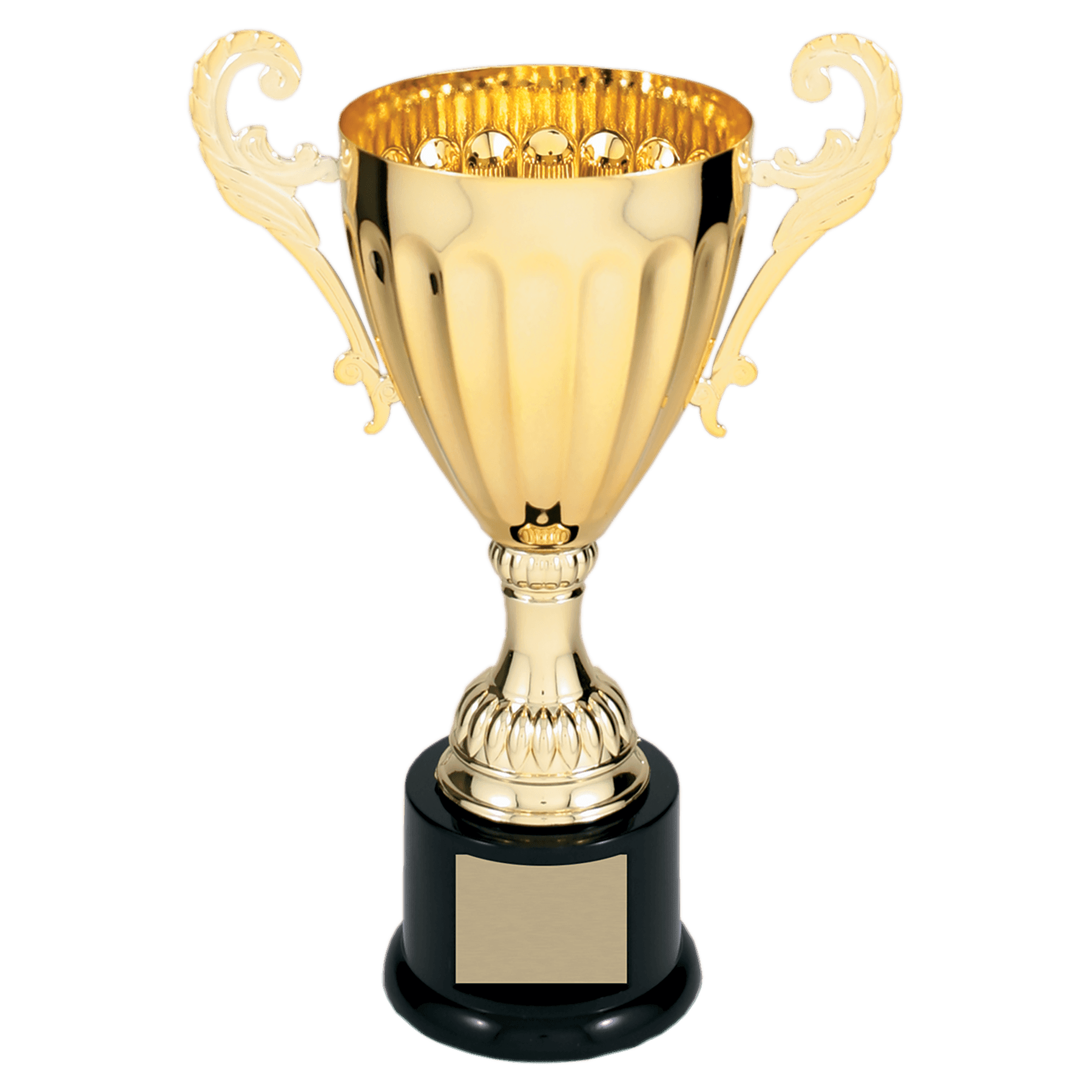 Gold 9 3/4" Completed Metal Cup Trophy on Plastic Base