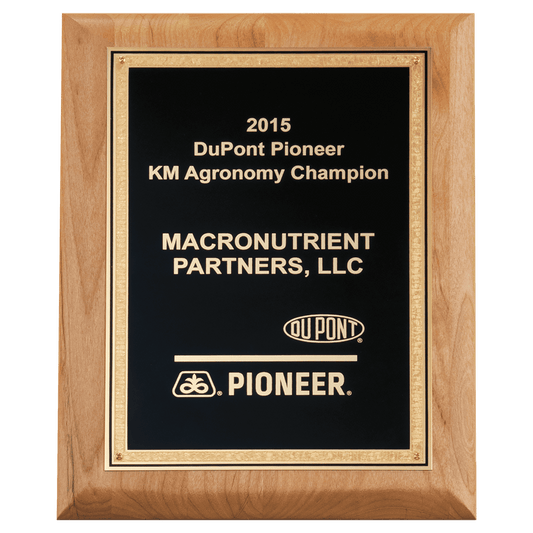 Alder Wood Plaque with Black Textured, Gold 9" x 12" Natural Florentine Bordered LaserFX Plate