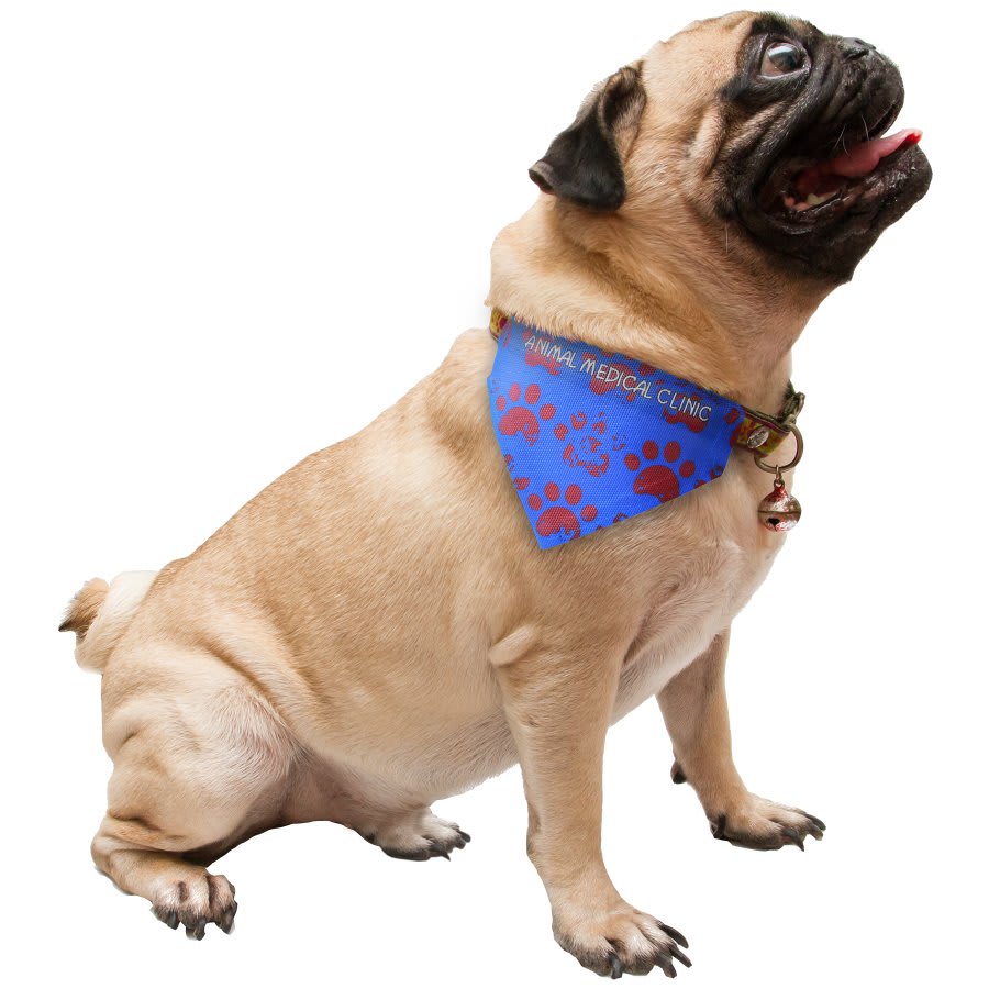 5 3/4" x 4 1/4" Sublimatable Pet Scarf