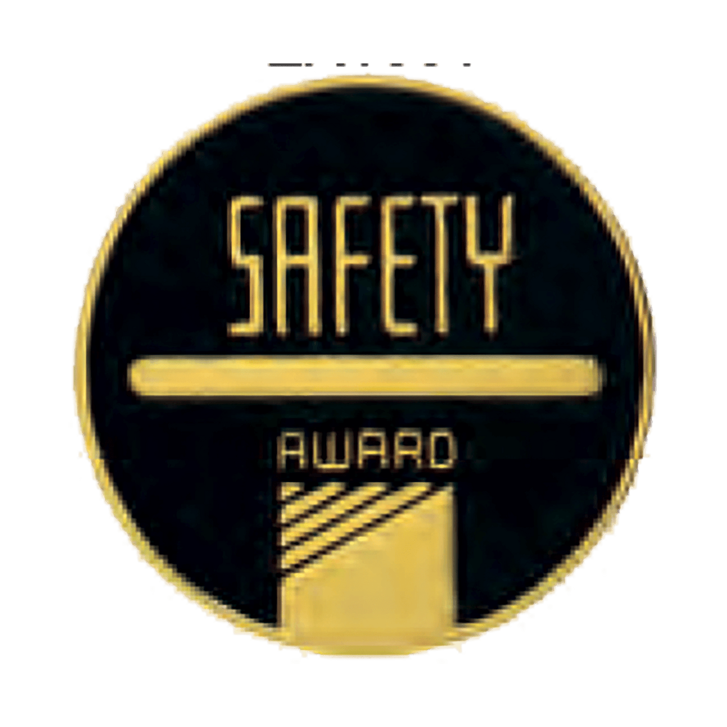 2 1/2" Safety CAM Medallion
